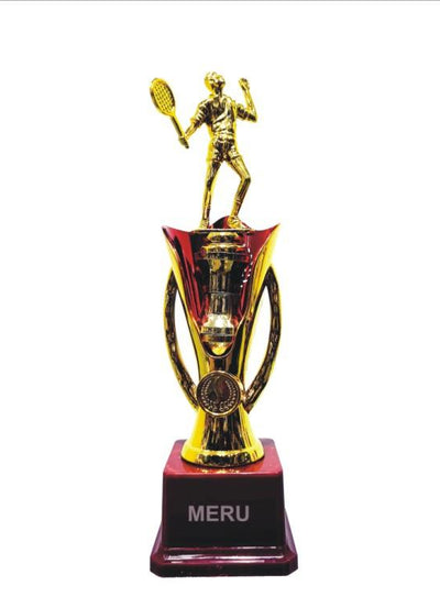 A trophy with a figurine of a cricket player on top, standing on a circular red and gold base. The trophy has vertical size measurements marked as 9.