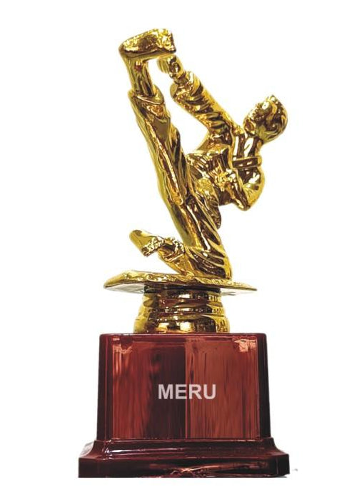 Gold martial arts trophy showcasing a dynamic mid-kick; perfect for sports awards. Fiber trophies.
