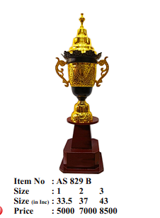 Elegant Metal Cup Trophy - Sports Award - AS829B