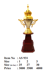 Elegant metal cup trophy; ideal for sports awards and recognition ceremonies.