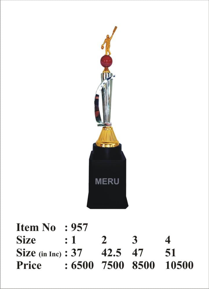 Metal Cricket Tournament Trophy