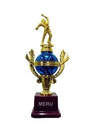 Blue and gold cricket trophy; a beautiful fiber trophy design for sports awards.