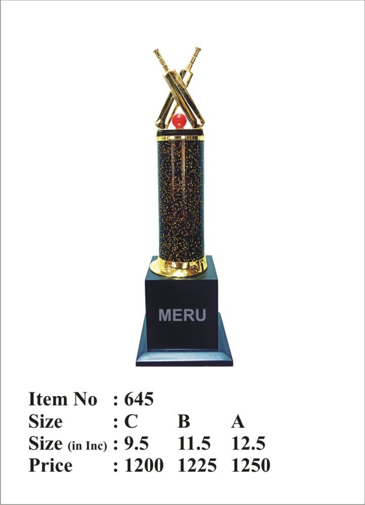 Metal Cricket Trophy with crossed bats; perfect for sports day awards