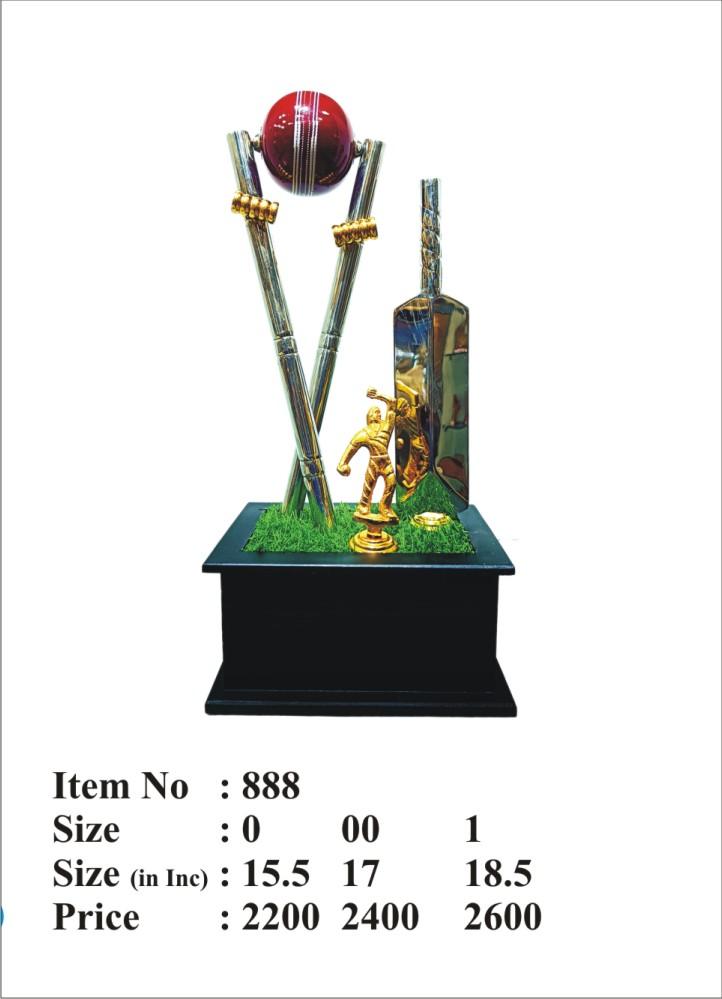 Silver Cricket Trophy Award - Ideal for sports awards and cricket trophies.