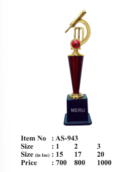 Golden bat and ball cricket custom trophy on a textured burgundy column.