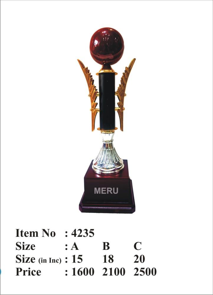 Metal cricket trophy with golden wings