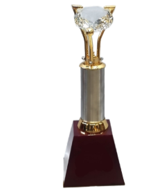 Crystal Topped Metal Trophy Award