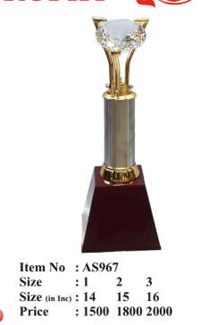 Shining Crystal Topped Metal Trophy as967
