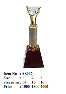 Elegant crystal trophy award; ideal for sports awards and cricket trophies.