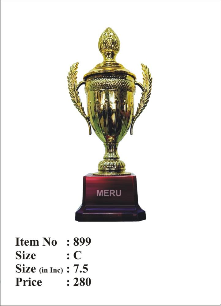 Gold Fibre Award Trophy 899