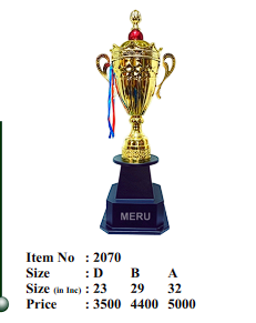 Gold Cup Trophy 2070 - Sports Award Trophy