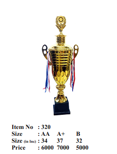 Gold Metal Sports Trophy Cup
