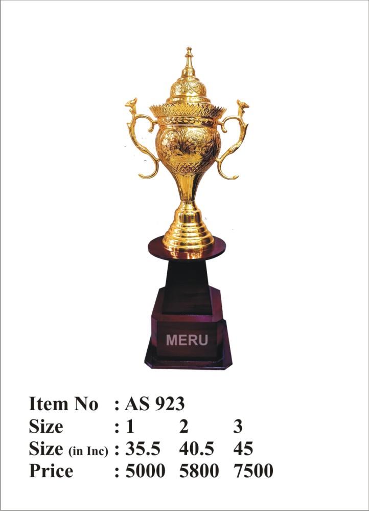 Gold metal trophy with intricate design on a wooden base. Perfect for corporate awards; sports awards; or academic awards.