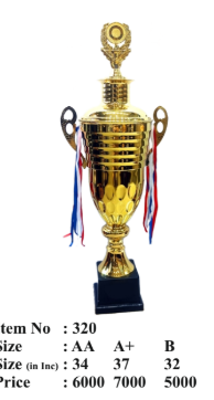 Gold Metal Trophy Cup 320 1