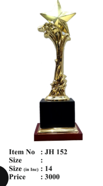 Gold Star Achievement Award Trophy jh152