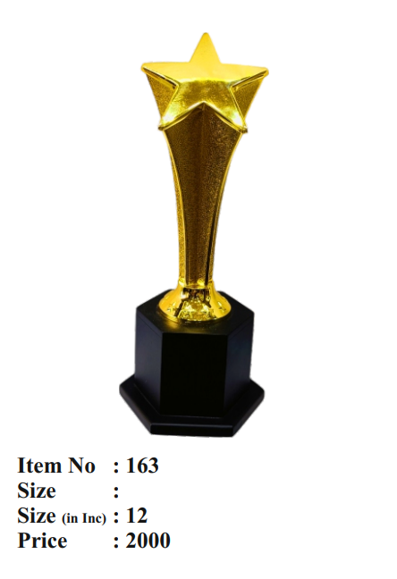 Gold Star Award Trophy 163
