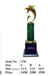 Gold star custom trophy