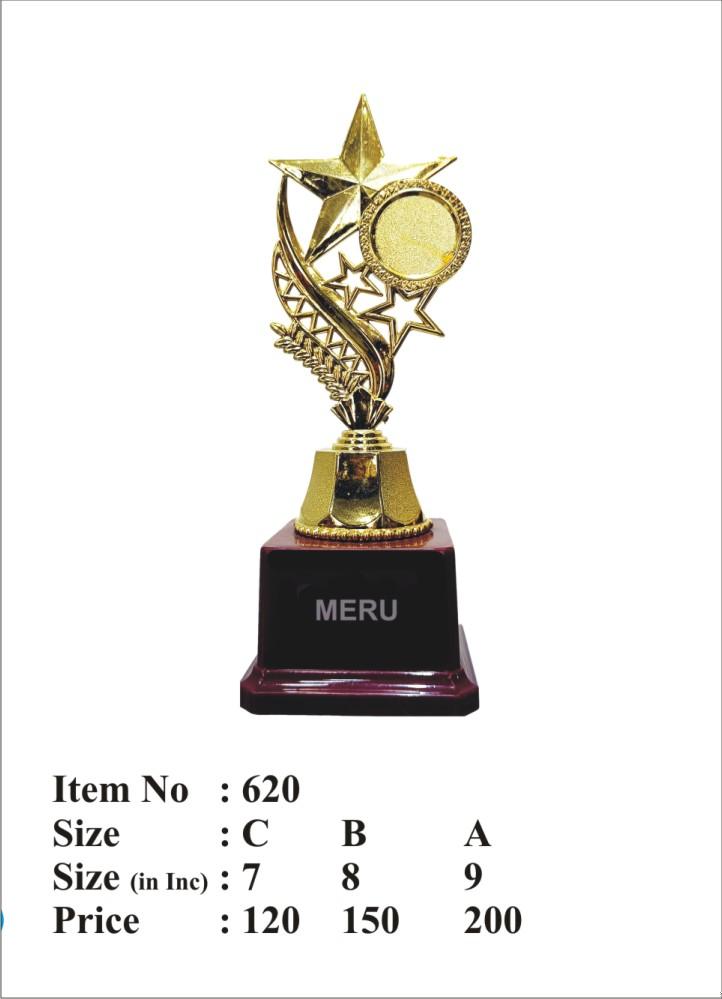 Gold Star Achievement Fibre Trophy