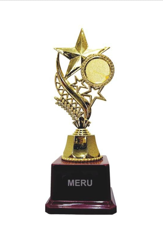 Gold Star Trophy - Achievement Award - Fiber Trophy