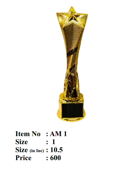 Gold Star Achievement Trophy Corporate & Sports Awards gold star award trophy am 6
