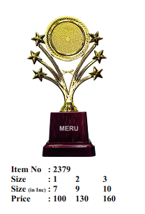 Gold star trophy design; ideal for recognition awards and employee appreciation. A beautiful fiber trophy.