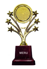 Gold star trophy design; ideal for recognition awards and employee appreciation. A beautiful fiber trophy.