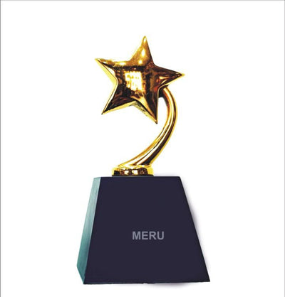 Gold star trophy on a blue base; perfect for recognition awards and corporate trophies.