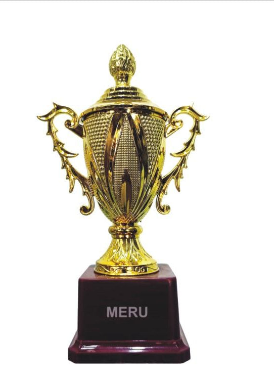 Gold trophy cup; symbol of victory; perfect for awards ceremonies.