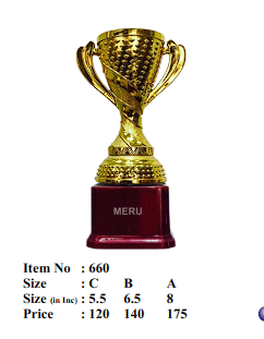 Gold Trophy Cup - Achievement Award (Fiber Trophy)