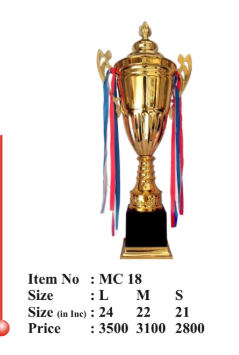 Gold Metal Trophy Cup