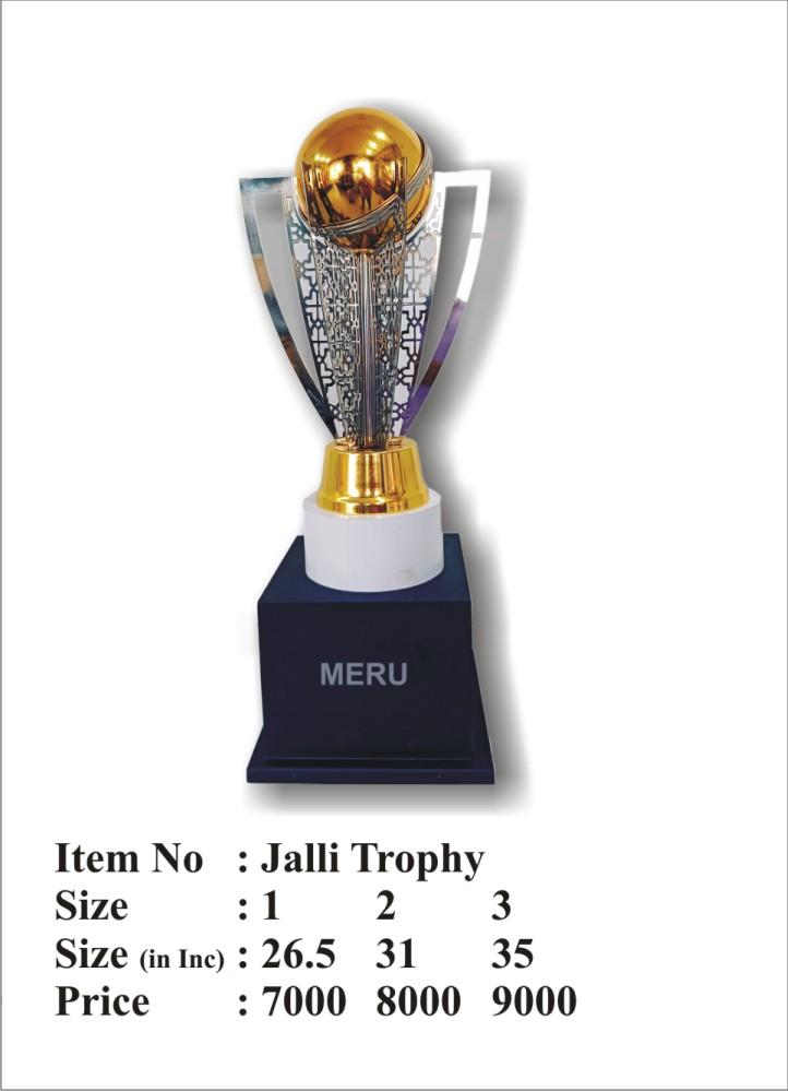 Gold and Silver Metal Jalli Trophy