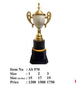 Elegant metal cup trophy; ideal for sports awards and corporate recognition.