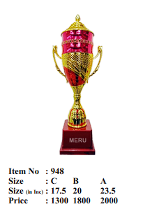 Gold and silver cup trophy with starburst finial