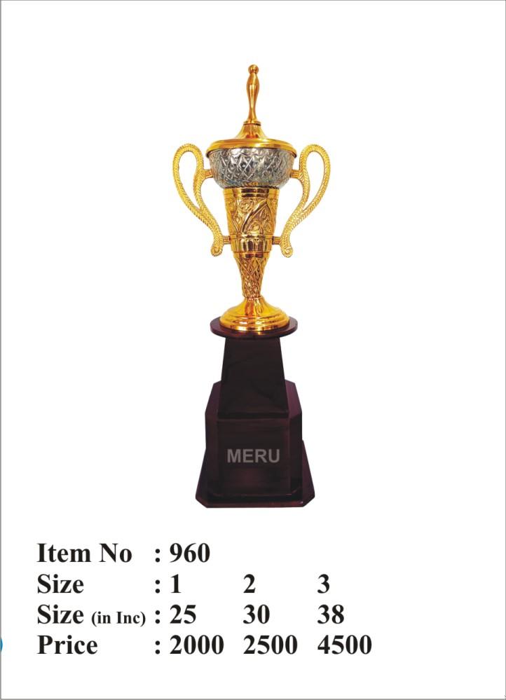 Two-toned custom metal trophy with silver cup and gold body.