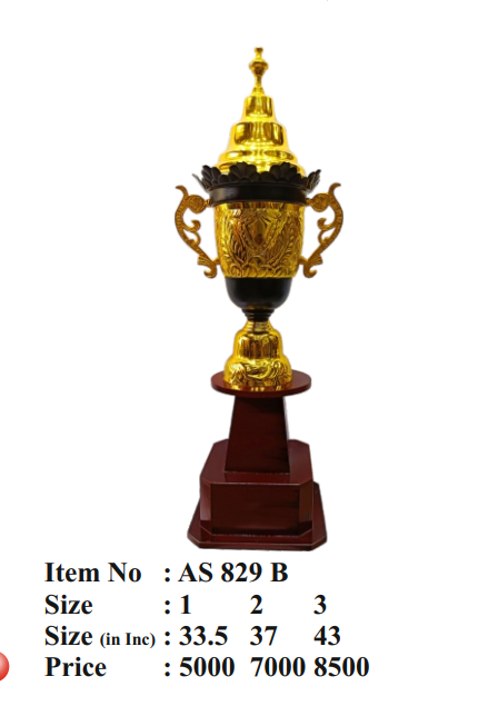 Gold & Black Metal Trophy AS 829 B