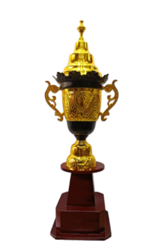 Gold and black metal award trophy on a wooden base. Perfect for corporate or sports awards.