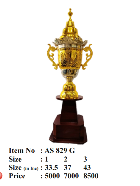 Metal Corporate Trophy Awards gold silver metal trophy as 829 g