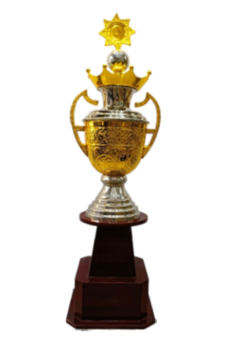 Gold and silver metal trophy with crown and star. A perfect award for achievements and recognition.