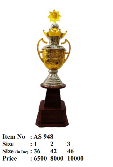 Gold & Silver Metal Trophy AS 948