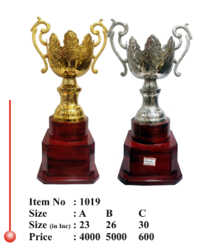 Gold and Silver Metal Award Trophy