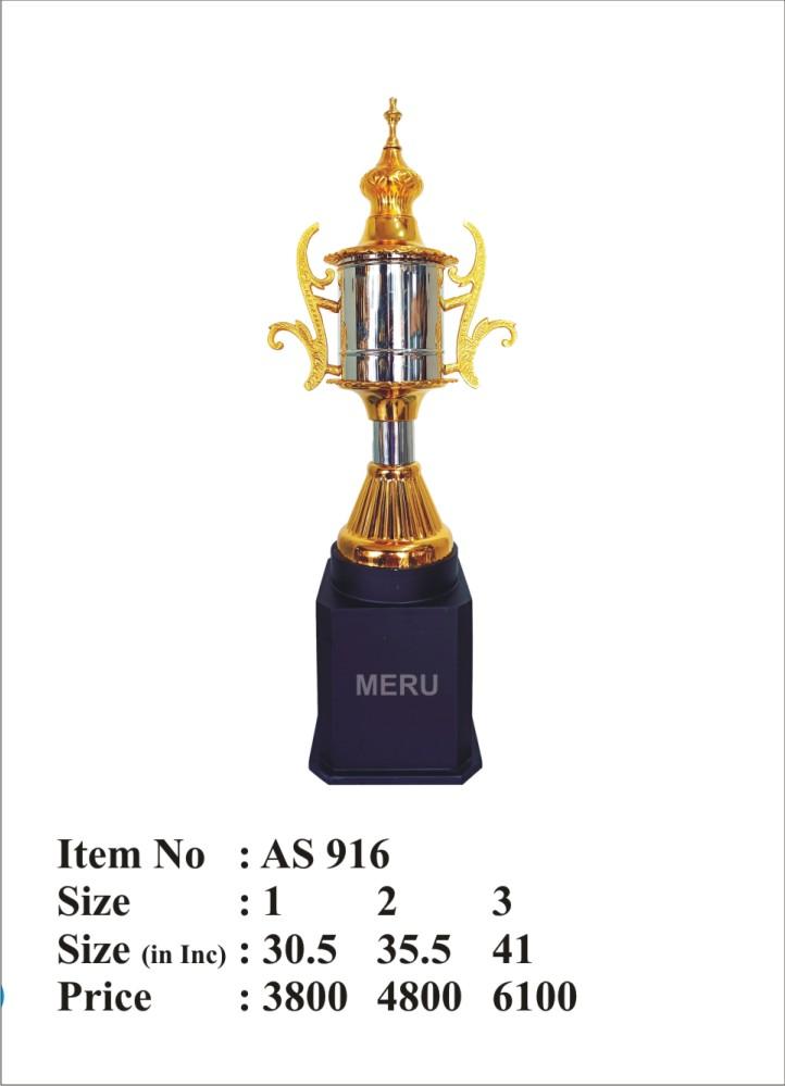 Elegant Metal Trophy