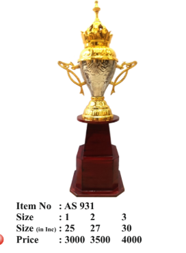Metal Trophy Award AS 931