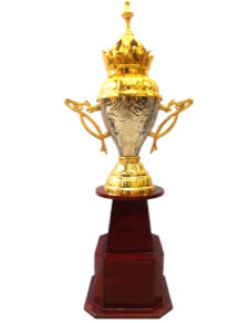 Gold and silver metal trophy on a wooden base. Perfect for awards and recognition.