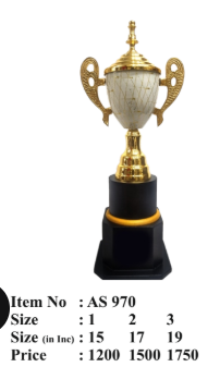 Gold and white metal trophy on a black base. A perfect award for recognizing achievements in sports; academics or corporate events. AS 970.