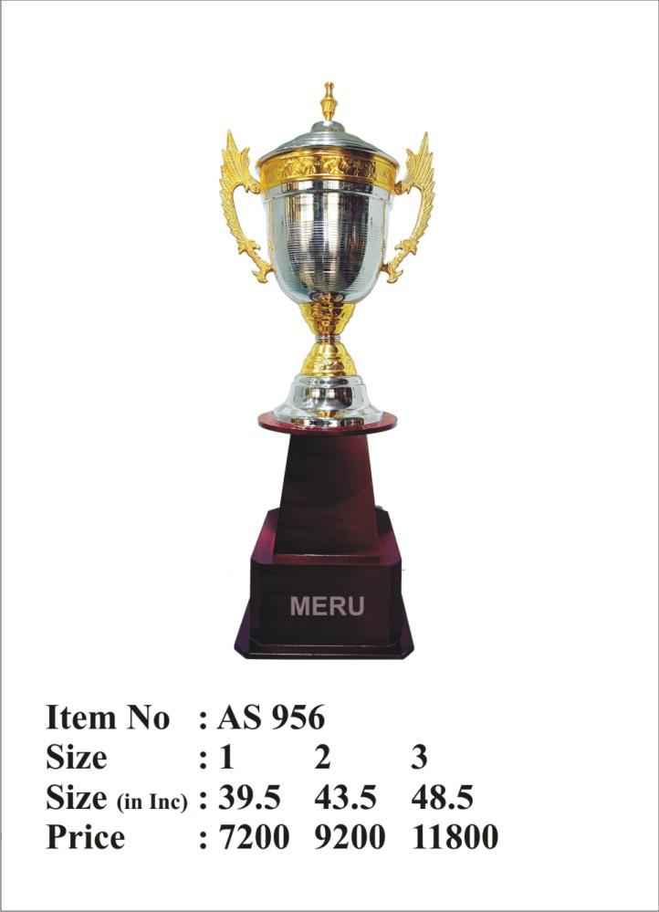 Elegant gold and silver corporate trophy on wooden base