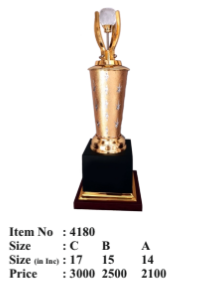 Elegant corporate trophy; a stunning crystal trophy in gold and black.