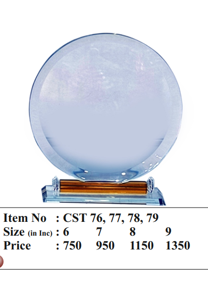 Elegant corporate trophy award