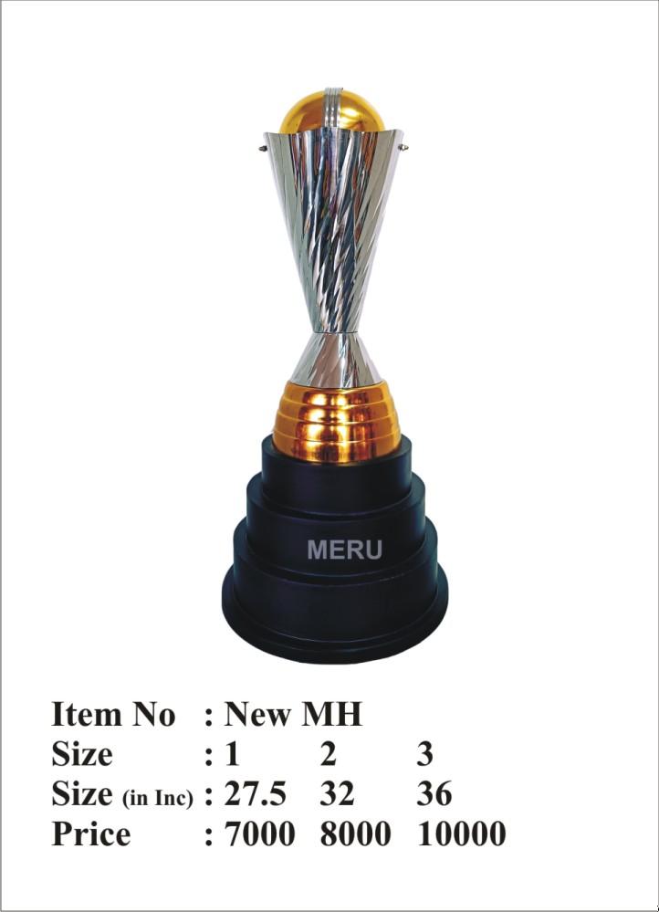 Silver and Gold Sports Trophy