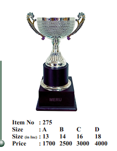 Silver metal cup trophy; perfect for sports awards and corporate recognition.