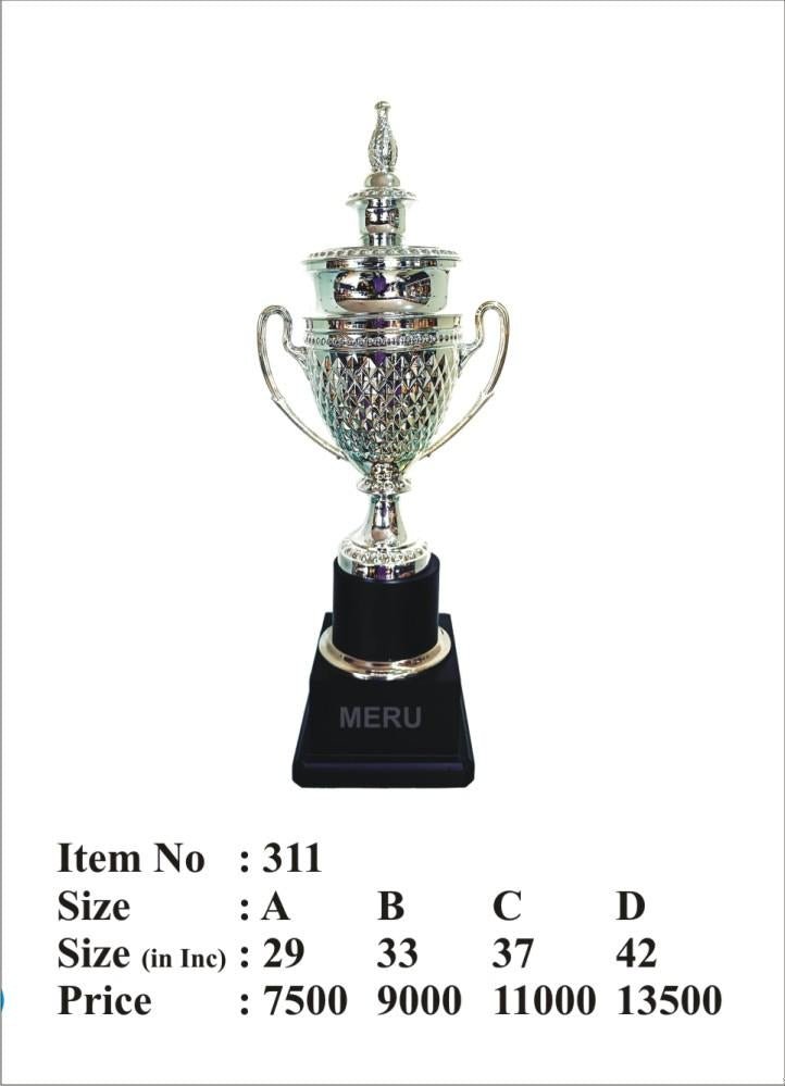 Elegant silver metal trophy award
